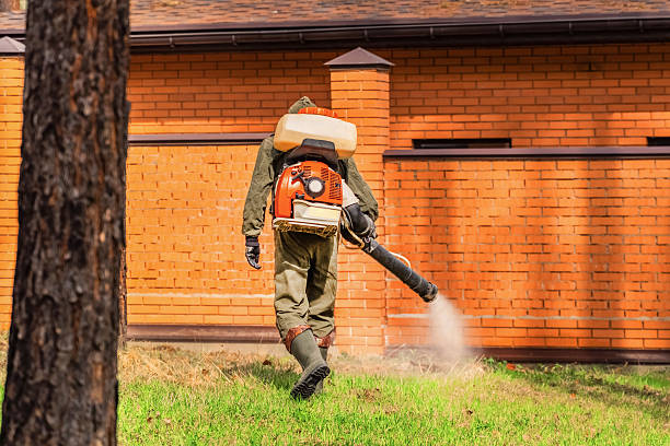 Top rated local Mosquito Control specialists in Boaz, AL